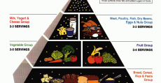 Piramide alimenti