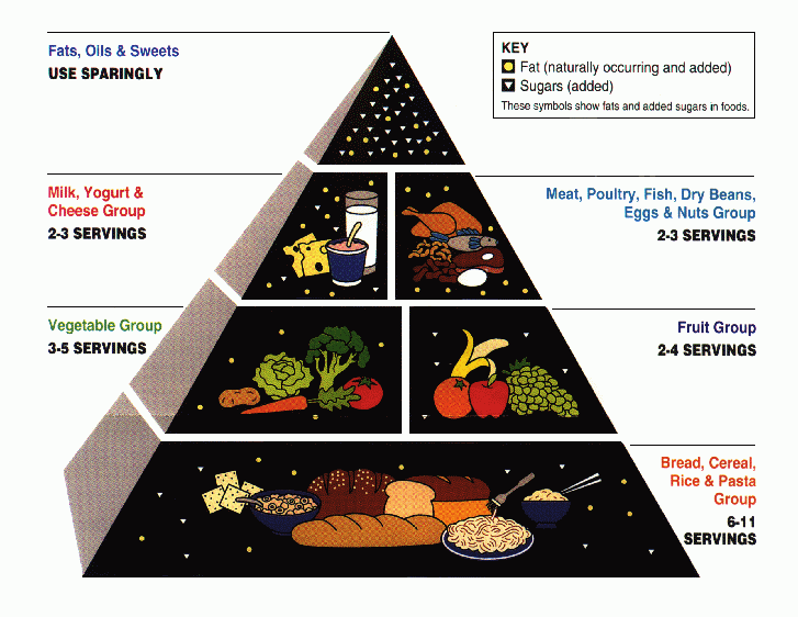 Piramide alimenti