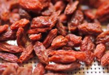 Bacche di Goji: frutto di lunga vita