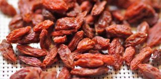Bacche di Goji: frutto di lunga vita