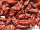 Bacche di Goji: frutto di lunga vita