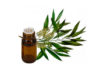 Come impiegare l’olio essenziale di Tea Tree