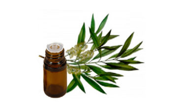 Come impiegare l’olio essenziale di Tea Tree