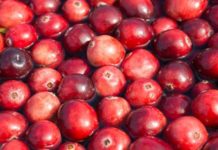 Rimedi naturale per la cistite