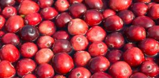 Rimedi naturale per la cistite