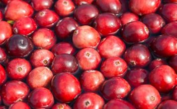 Rimedi naturale per la cistite